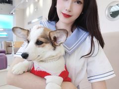 -怪兽屋·羊驼·猫咖·狗咖(俊华广场店)