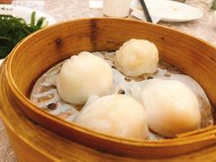 馨越楼虾饺皇-馨越楼·点心·粤菜(赤坎店)