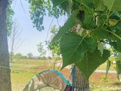 -汉长安城未央宫国家考古遗址公园