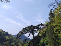 -泰山风景名胜区