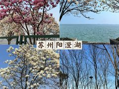-留园