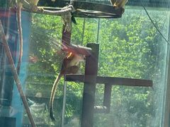 -秦皇岛野生动物园