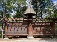 -峡谷浮石林景区