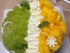 -考拉与糖·纯安佳动物奶油蛋糕(理工大学店)