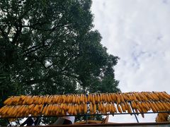-新安江山水画廊风景区