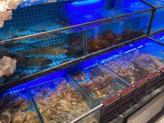 水产区-渔家风味·鲅鱼水饺·央视展播·海鲜天津菜(开发区店)