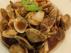 -魚當家