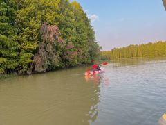 -上海海湾国家森林公园