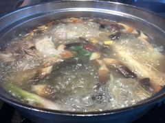 -千岛蚝高压锅生蚝·人参火锅(白云万达店)