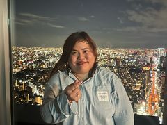-六本木新城展望台(东京城市景观)
