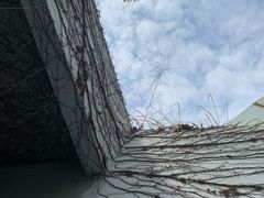 -福田红树林生态公园