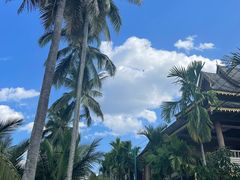 -西双版纳傣族园