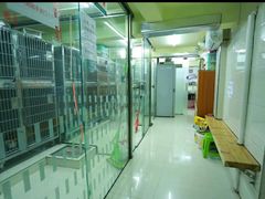 -瑞派动物医院·猫专科·至诚(江南中分院)