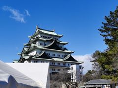 -名古屋城