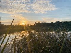 -昆山城市生态森林公园