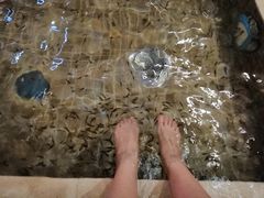 -中家鑫园温泉酒店鑫悦汤泉