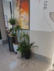 -苏豪美发S A L O N烫发染发