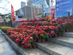 -南丰汇(新港东路店)