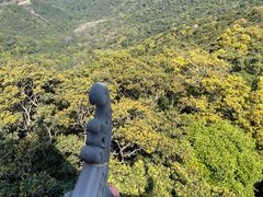 -梧桐山风景名胜区