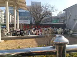 -首都医科大学附属北京儿童医院