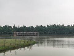 -上海海湾国家森林公园