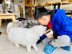 -平行世界·猫咖(首经贸店)