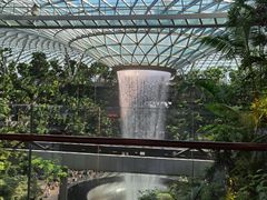 -樟宜机场免税店