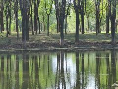 -东郊湿地公园