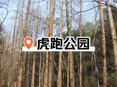 -虎跑公园