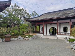 -上海滨江森林公园