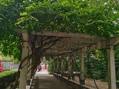 -莲花池公园