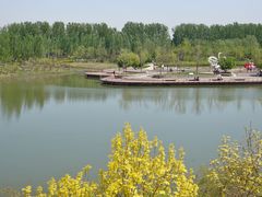 -东郊湿地公园