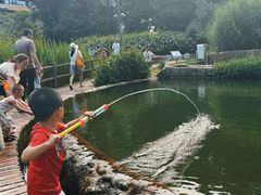 -成都市活水公园