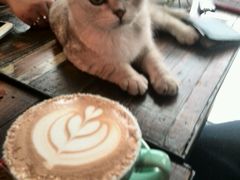 android_upload_pic-MIKAKU(万达广场上海宝山店)