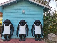 -漳州滨海火山岛自然生态风景区