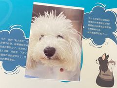 -美联众合动物医院·24h转诊中心
