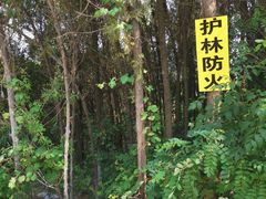 -龙洞风景区-藏龙涧
