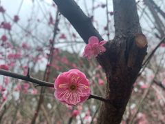 -汇龙潭