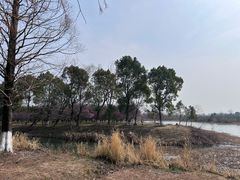 -南湖湿地公园