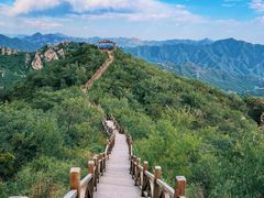 -大岭沟猕猴桃谷风景区