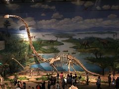 -自贡恐龙博物馆