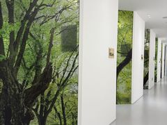 -极简口腔(总院)