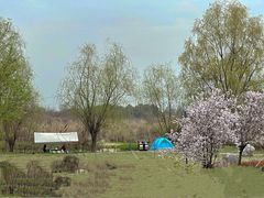 -中国天府农业博览园