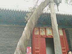 -关林