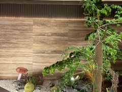 -阿露佳·舌尖上的安吉菜