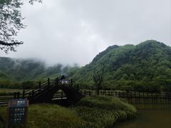-大九湖