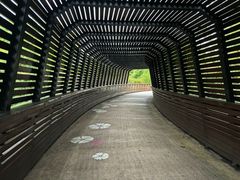 -昆山城市生态森林公园