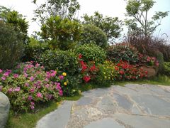 -东莞植物园