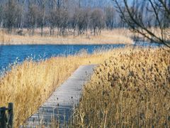 -野鸭湖国家湿地公园