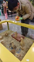 -神奇动物撸宠馆·羊驼·小浣熊·异宠(豫园店)
